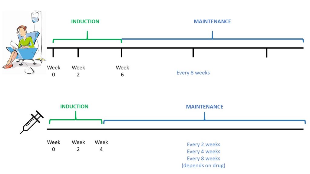 Biologic scheduling